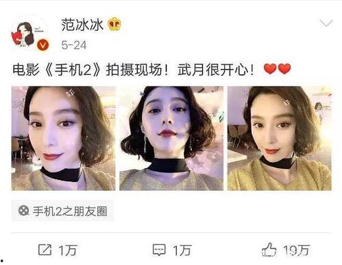 娱乐圈吃瓜崽是谁,揭秘娱乐圈神秘“吃瓜崽”身份之谜